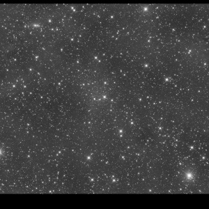 Draco-Dwarf-2022-07-26