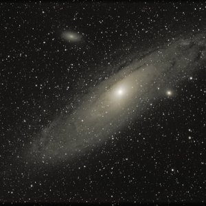 M31