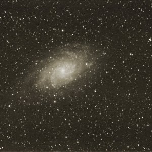 M33