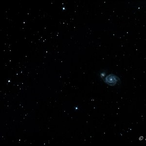 m51cl