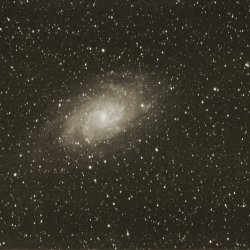 M33