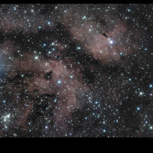 1_IC-1318-2021-08-29