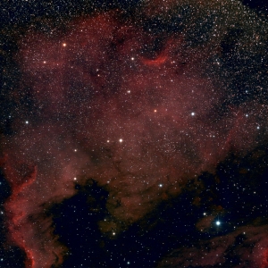 NGC-7000