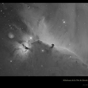 Tete-de-Cheval-H-alpha-Epsilon-C1X-2023-02-08