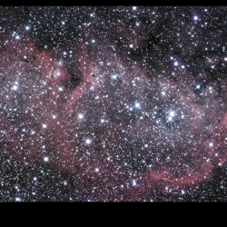 1_NGC-1848-2021-09-05-B