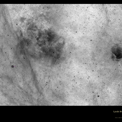 LBN-362-2022-07-13-inversee-annotee