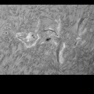 Soleil-2022-06-13-pm-A